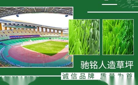 宏兴 展示图