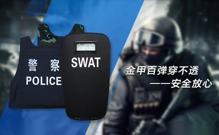 盾之王 展示图