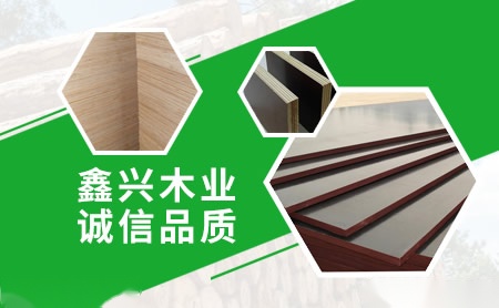 鑫兴 展示图
