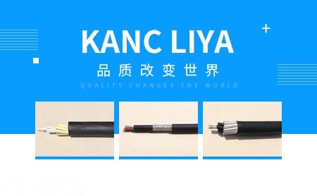 华特雅 展示图