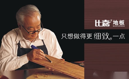 比嘉BIJIA 展示图