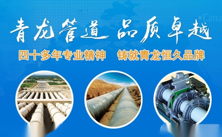 青龙 展示图