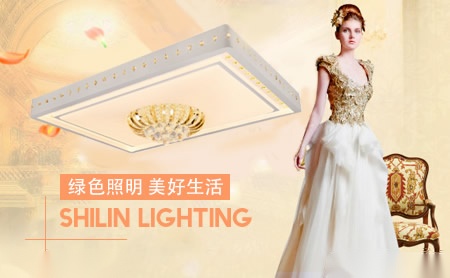 世林SHILIN 展示图