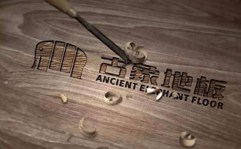 古象地板 展示图