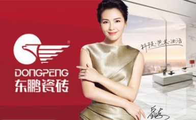 东鹏瓷砖DONGPENG 展示图