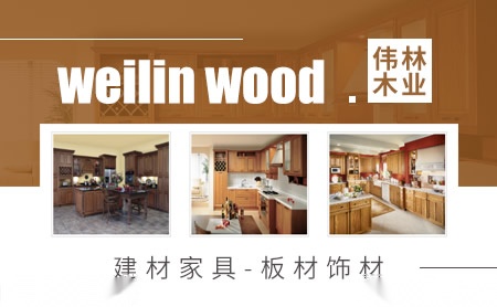 伟林 展示图