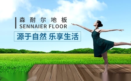 森耐尔SENNAIER 展示图