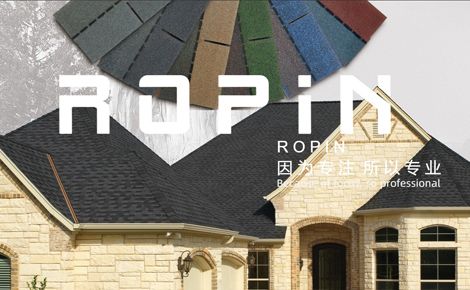 荣平ROPIN 展示图