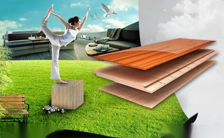 标王地板BEWIN 展示图