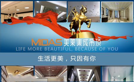 美莱MIDAS 展示图