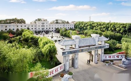 红嘴 展示图