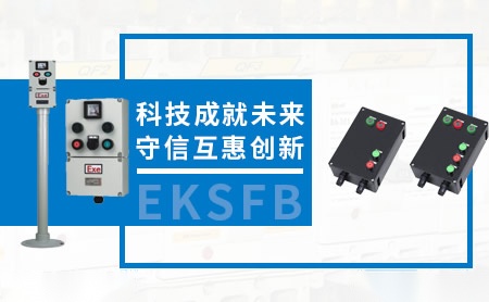 依客思EKSFB 展示图
