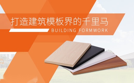 双马建模 展示图