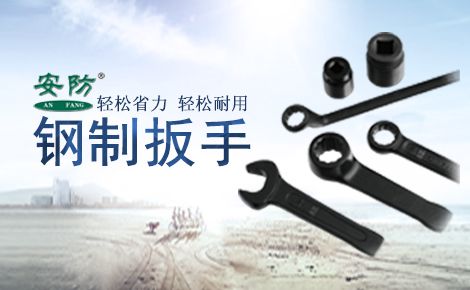 安防 展示图