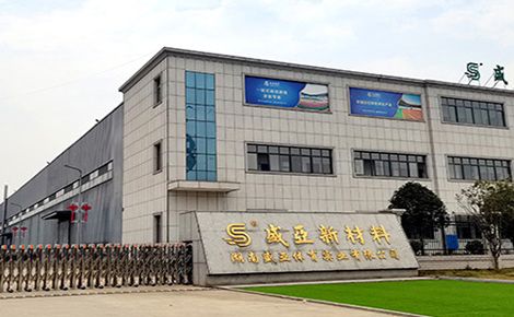 盛亚体育 展示图