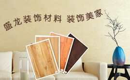 SHENGLONG盛龙 展示图