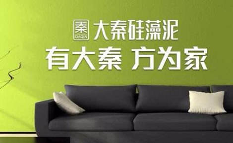 大秦硅藻泥 展示图