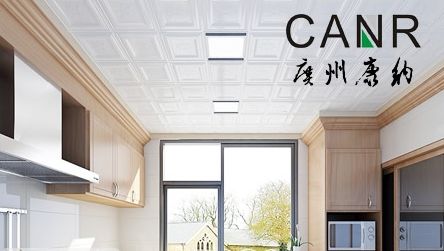 CANR康纳 展示图