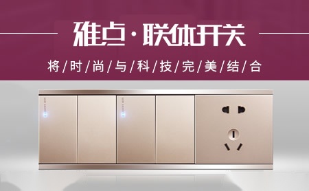 雅点联体开关 展示图