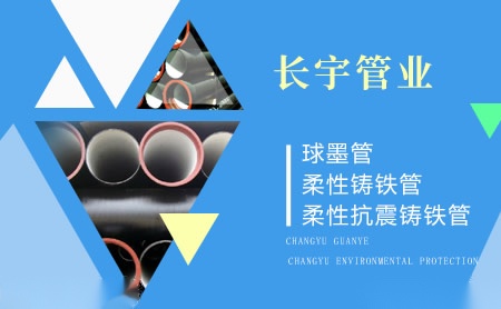 长宇CY 展示图