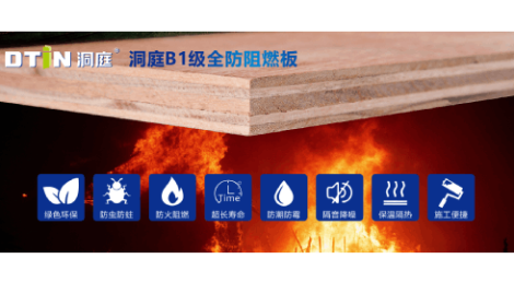 DTIN洞庭 展示图