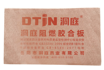 DTIN洞庭 展示图