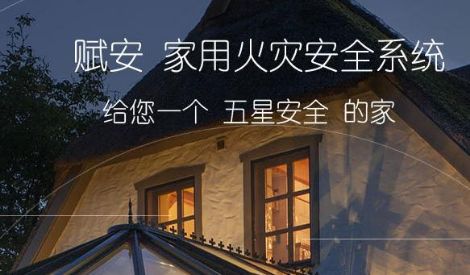 赋安Forsafe 展示图