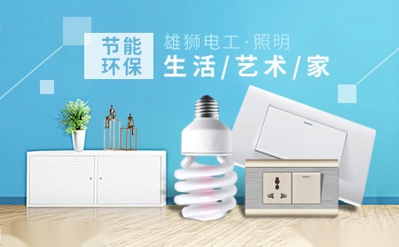 雄狮电气 展示图