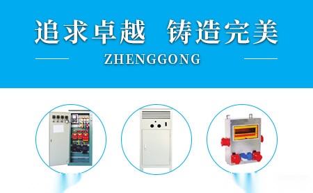 正工ZG 展示图