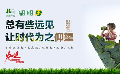 湖湘王板材 展示图