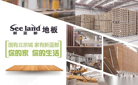 Seeland新蓝都地板 展示图