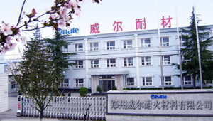 WHALE 展示图