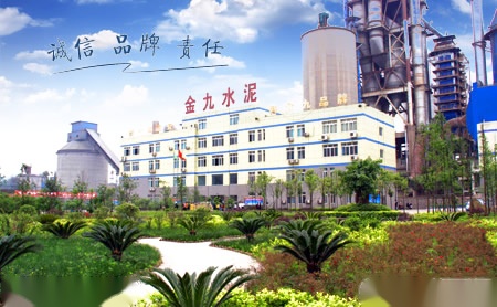 金九Kingo 展示图