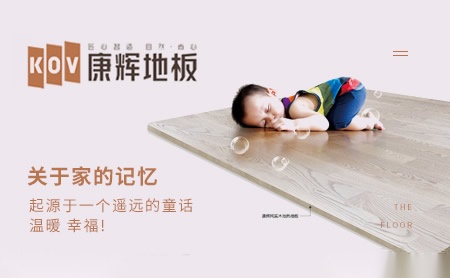 康辉KOV 展示图