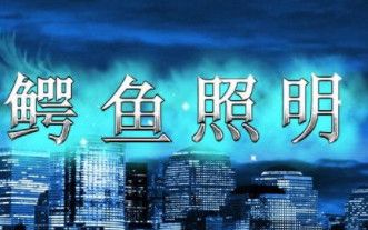 ALLIGATOR鳄鱼照明 展示图