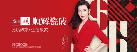 顺辉SH 展示图