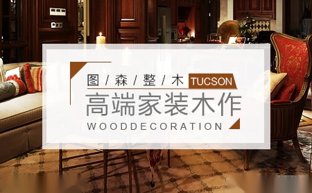 图森TUCSON 展示图