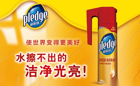 Pledge碧丽珠 展示图