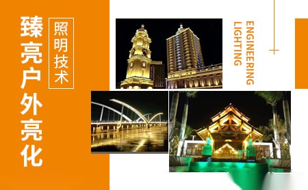 臻亮ZL 展示图