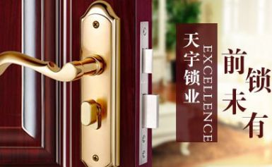 TENYALE天宇锁业 展示图