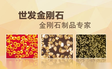 世发 展示图