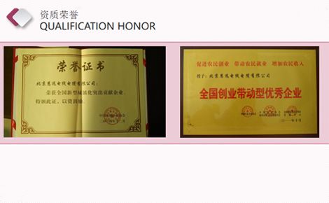 慧远 展示图