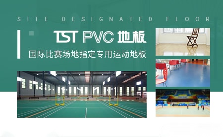 TST地板 展示图
