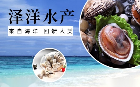 KAMLER卡姆勒 展示图