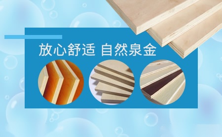 泉金木业 展示图
