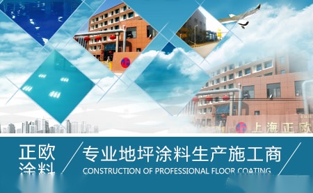 正欧 展示图