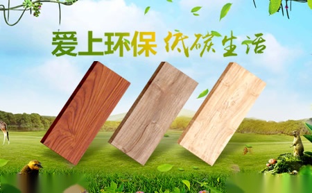 东方玉兰ORIENT YULAN 展示图