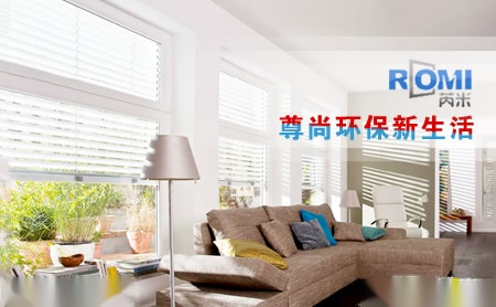 芮米ROMI 展示图