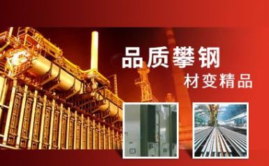 ANSTEEL攀钢 展示图