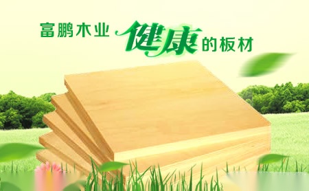 富鹏FP 展示图